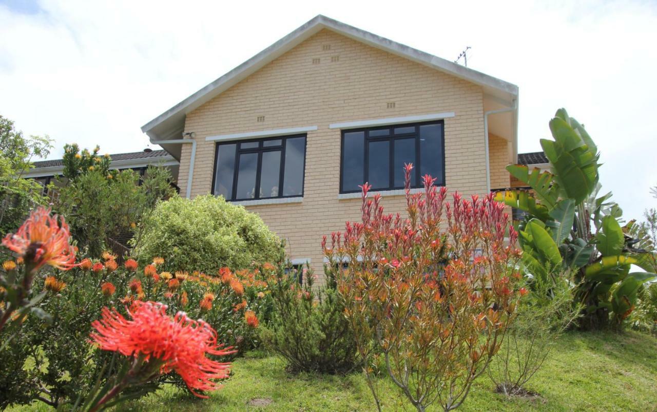 Garden Cottage In Ambiente Guest House นิสนา ภายนอก รูปภาพ