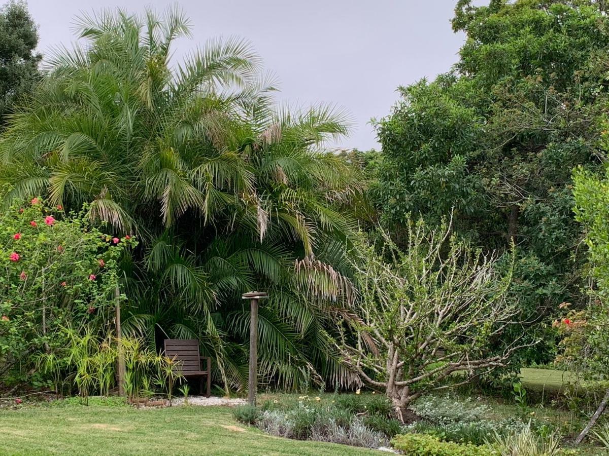 Garden Cottage In Ambiente Guest House นิสนา ภายนอก รูปภาพ